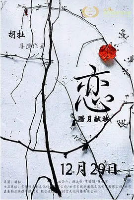 久久精品国产亚洲七七海报