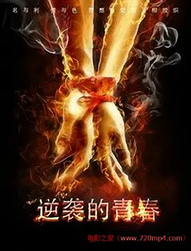 国产精品成人国产乱一区海报
