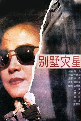 欧美成a高清在线观看www海报