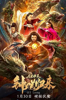 国产精品毛片一区海报