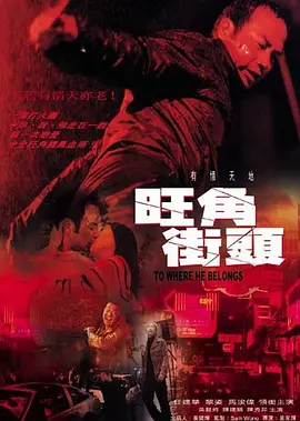 成人久久久久海报