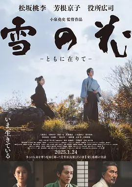 亚洲国产精品乱码一区二区海报