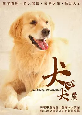 好男人好资源电影在线播放 - 720电影在线观看海报