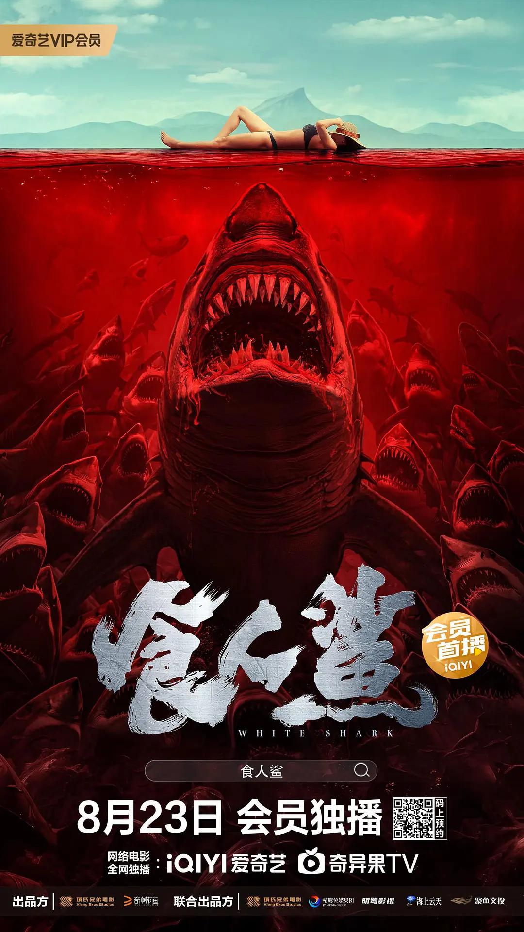 国产v综合v亚洲欧美久久海报