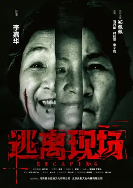 亚洲国产精品乱码一区二区海报