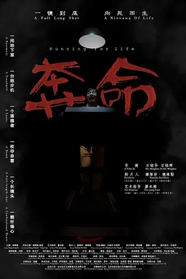 欧美精品v日韩精品v国产精品海报