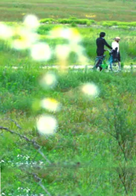 亚洲aⅴ久久久噜噜噜噜海报