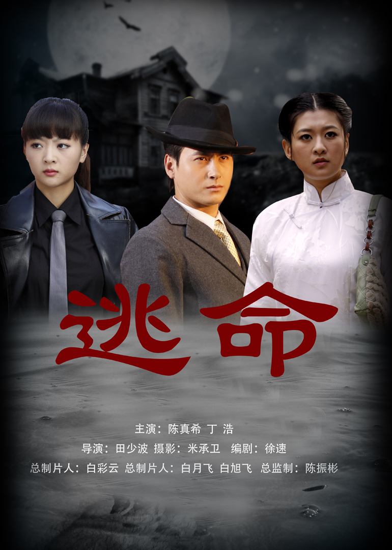 中文国产精品无码久久久海报