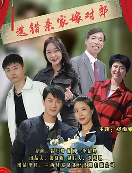 无码中文字幕网在线视频海报