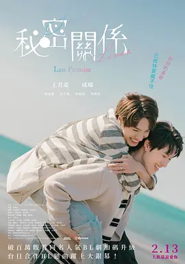 成人无码区免费a海报
