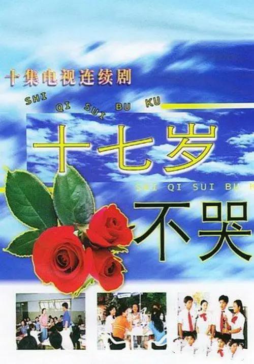 欧美精品v国产精品v海报