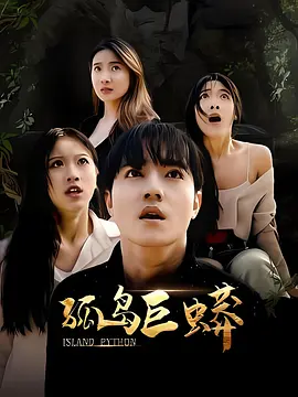 国产精品爱久久久久久久海报