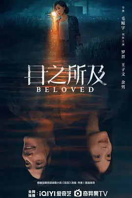 亚洲精品久久久久久国海报