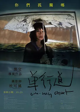 国产成人无码av在线电影专区海报
