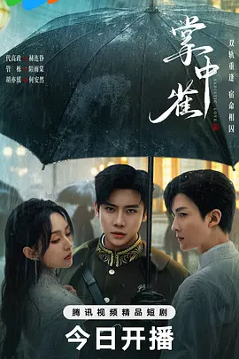 91久久国产成人网站海报