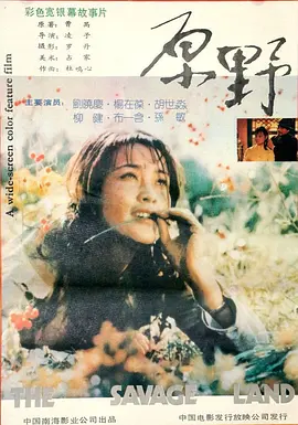 国产成人无码äv片在线观看海报