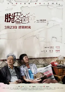 91精品全国免费观看免费在线观看海报