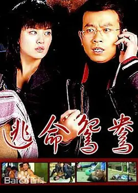 免费av网站海报