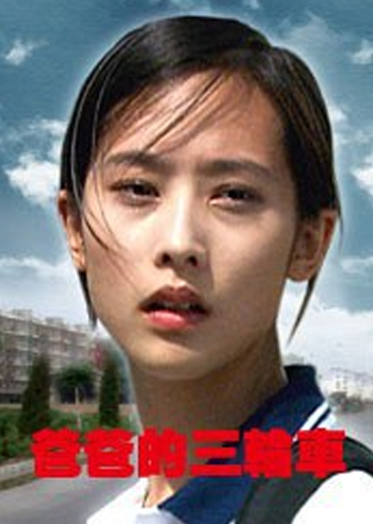 国产综合成人观看在线海报