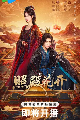 草草成人a海报