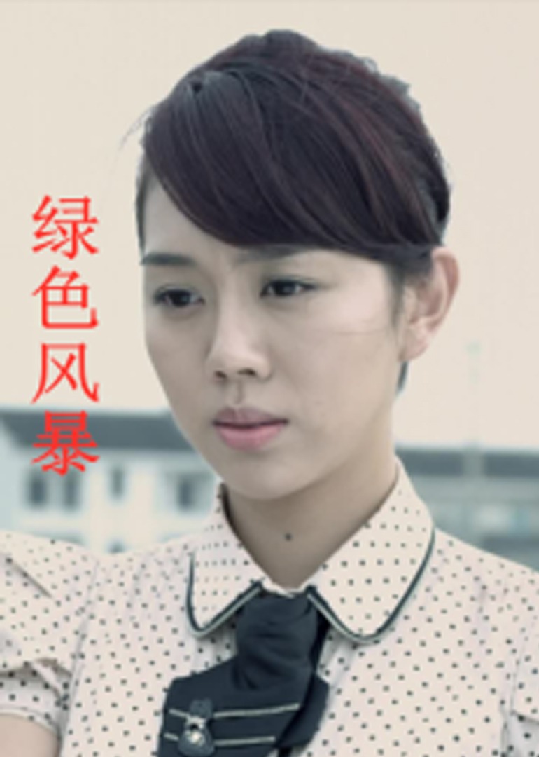久久久久无码国产精品不卡海报