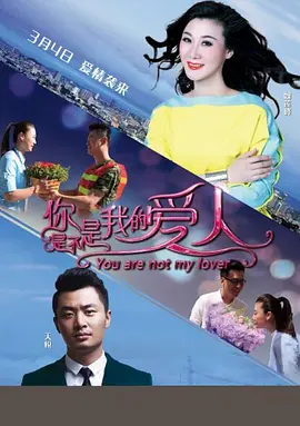 国产在线精品一区二区高清不卡海报
