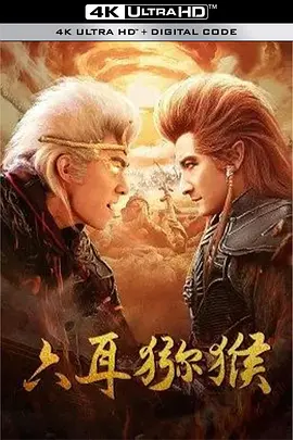 国产精品伦理久久久久久海报
