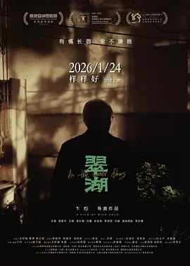 亚洲欧美日本在线播放海报
