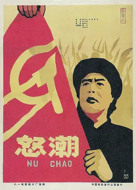 国产成人r级在线视频海报