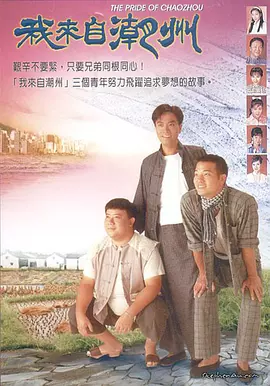 chinese多毛丰满video海报