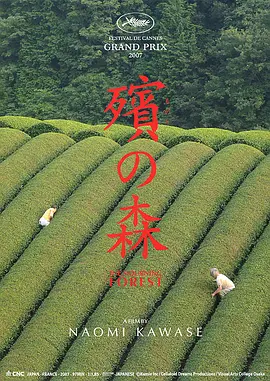 国产成人在线手机版下载海报