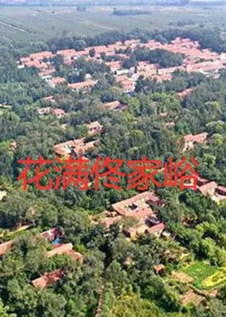 国产精品69久久久久孕妇海报