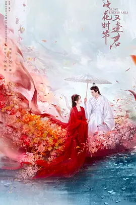 亚洲欧美视频海报