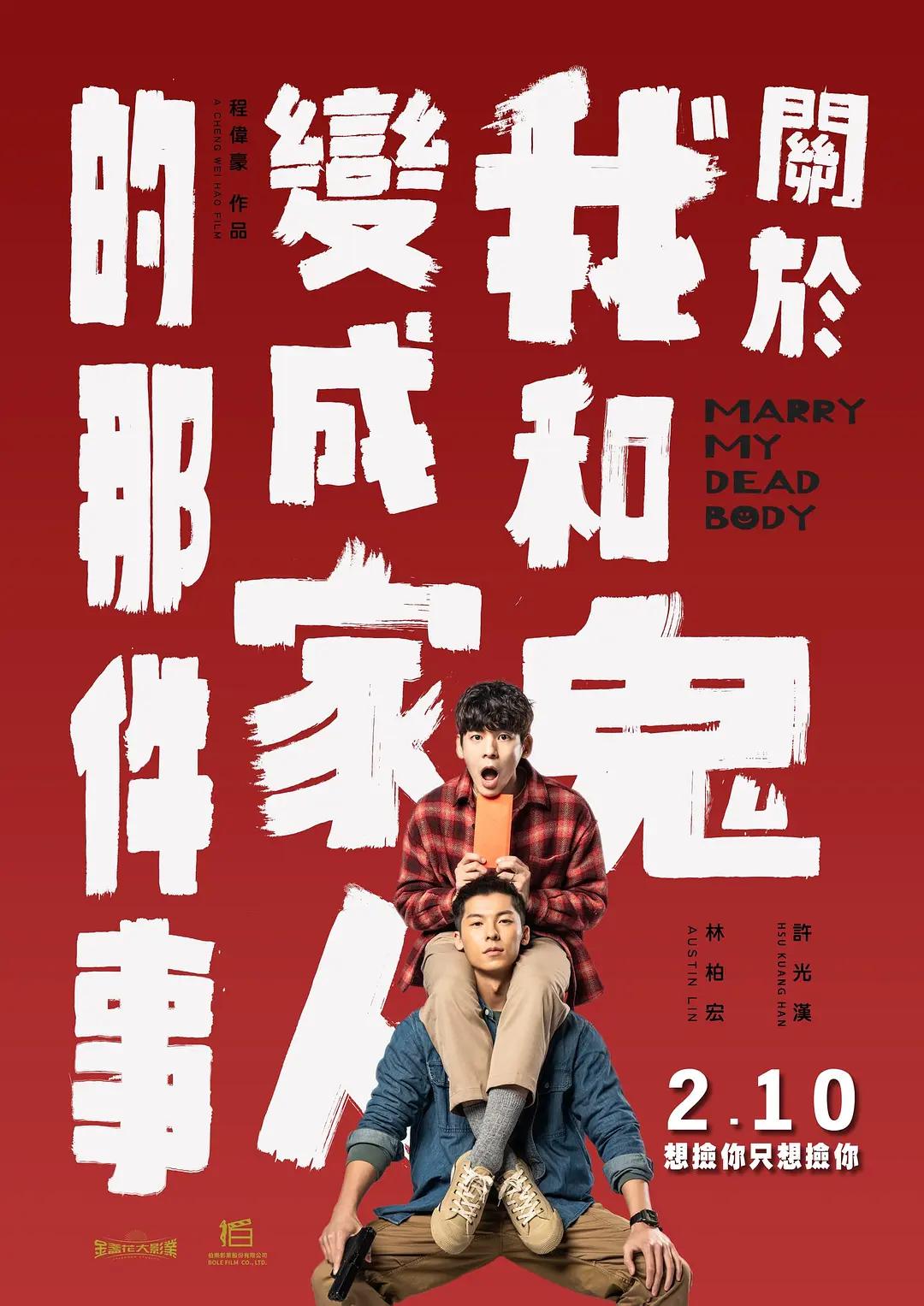 久久久久精品国产久久综合海报