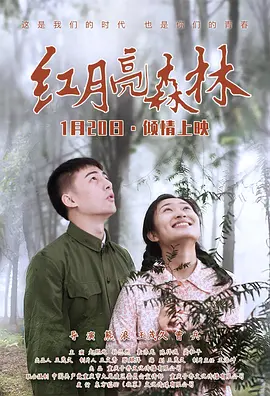 黄不卡免费在线海报