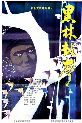 日本欧美一区二区三区不卡视频海报
