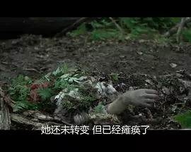 18禁日本黄无遮挡禁网站海报