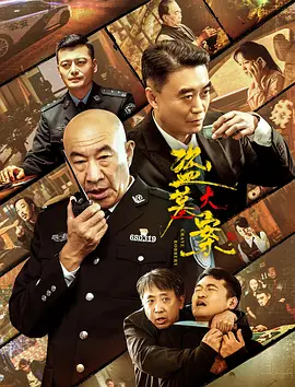 国产乱子精品免费观看片海报