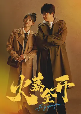 日韩精品一区二区亚洲av海报