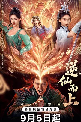 亚洲精品无播放器在线观看海报