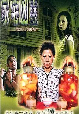 亚洲国产成人久久综合电影海报