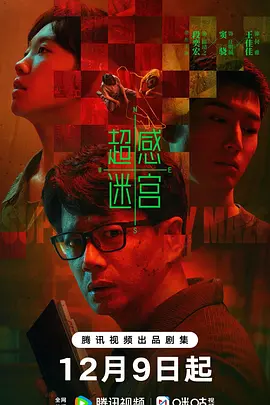 综合伊人久久在一二三区海报