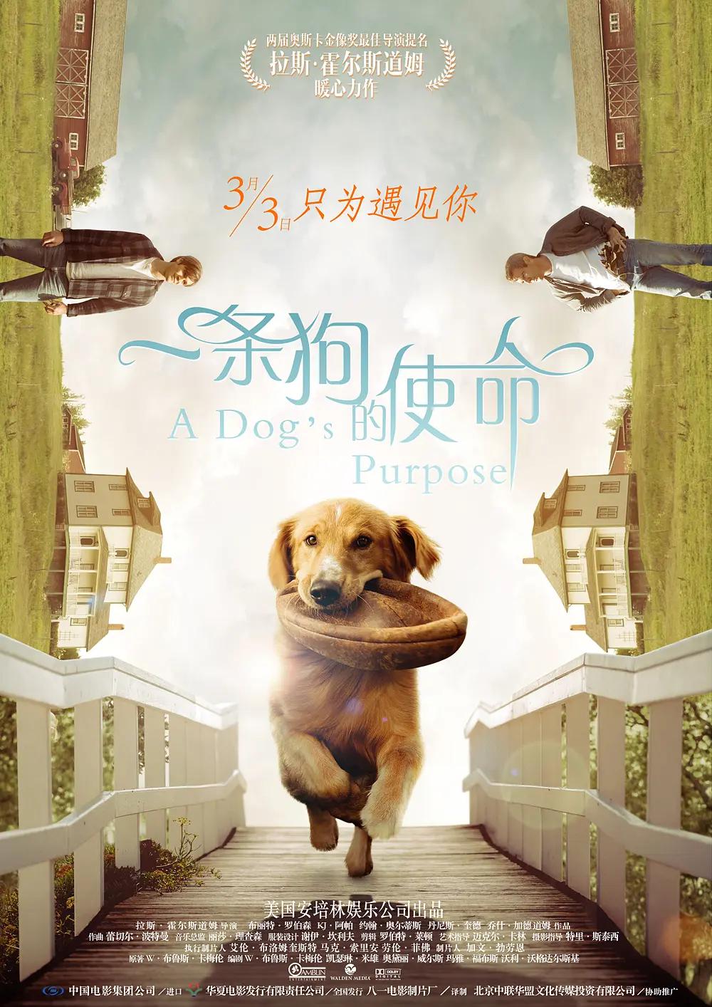 欧美日韩天堂在线视频_欧美国产亚洲日韩在线三区影院_亚洲免费人成视频_借妻韩国中文字幕_无码αⅴ视频在线观看海报