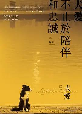 老子影院午夜理伦手机不卡海报