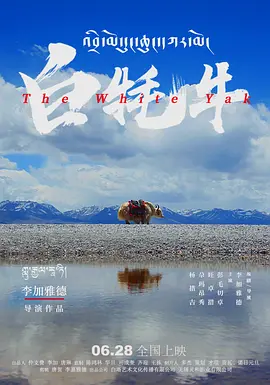 成人国产精品999视频海报