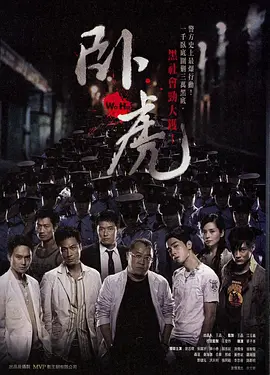 2020久久精品亚洲海报