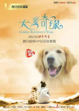 亚洲综合网站精品一区二区_日韩综合无码一区二区_91精品云霸高清中文字幕_久久天天躁日日躁狠狠综合海报