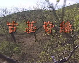 精品无人区一码二码三码四码海报