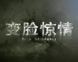 精品视频一区二区三区app海报