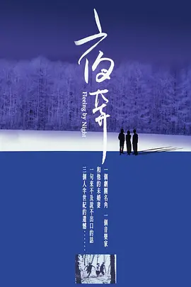久久久国产亚洲精品海报